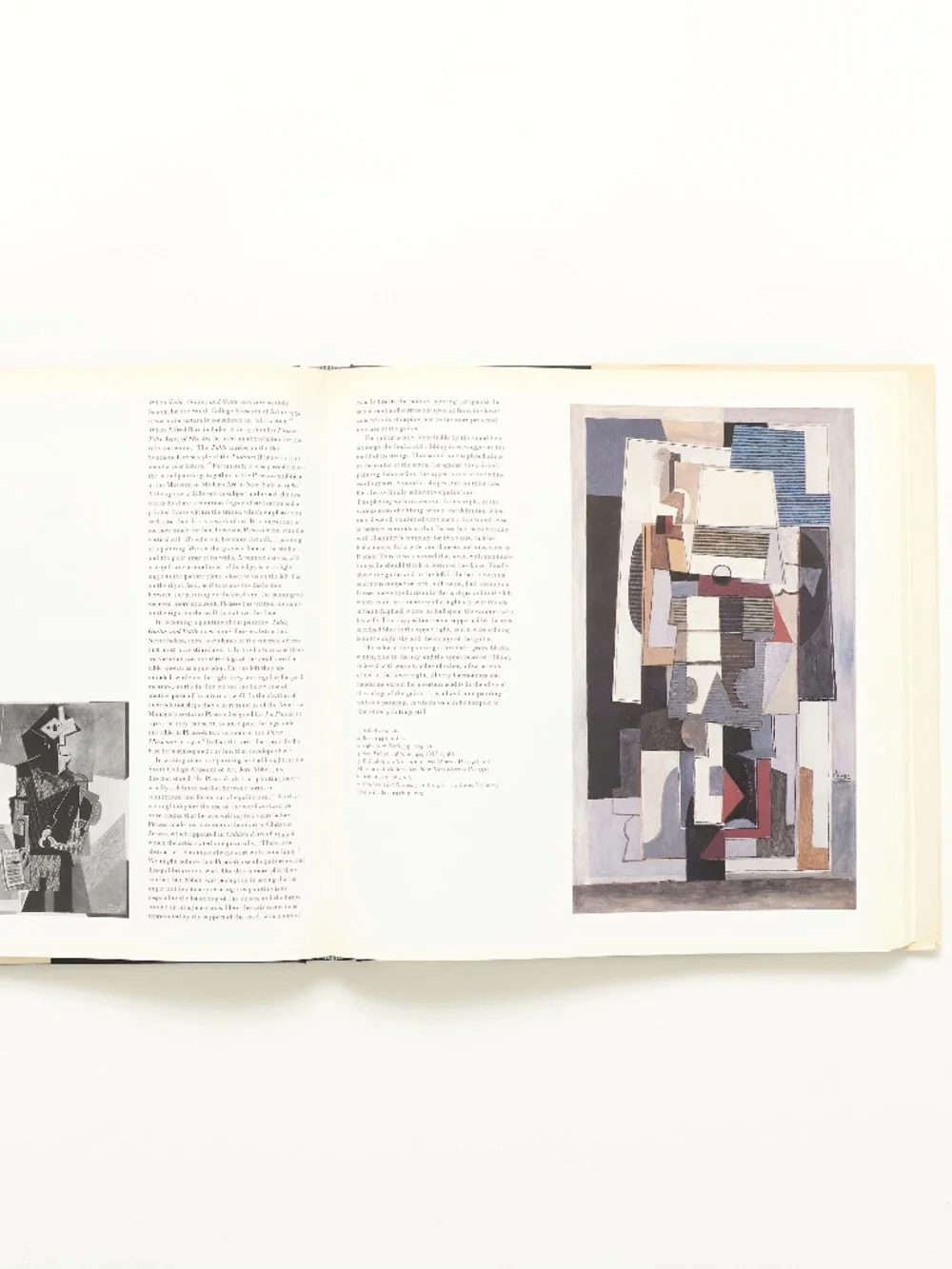 Cleveland Museum of Art / Rizzoli picasso things